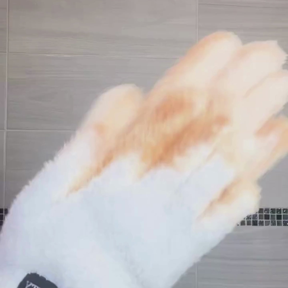 Vidéo